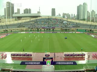 足协杯第二轮比赛 温州职业足球俱乐部VS大连鲲城 20250419