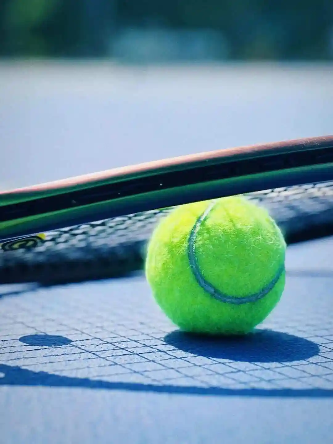 网球联合杯：斯瓦泰克VS本西奇