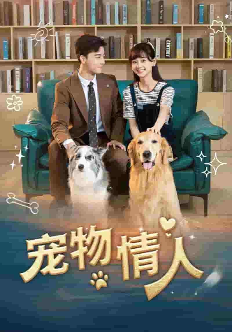 宠物情人 短剧版