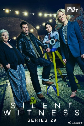 无声的证言 第二十九季